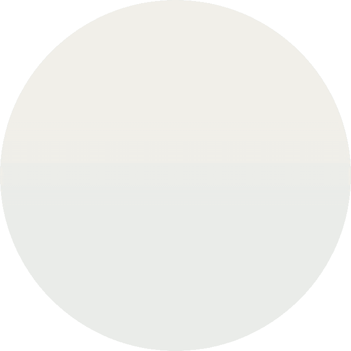 demo-attachment-988-Ellipse-11