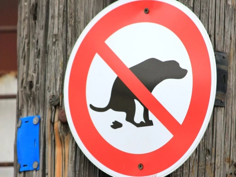 021c0f-24b6da048ed942848bcb8ca30c235565mv2-6853a98136562