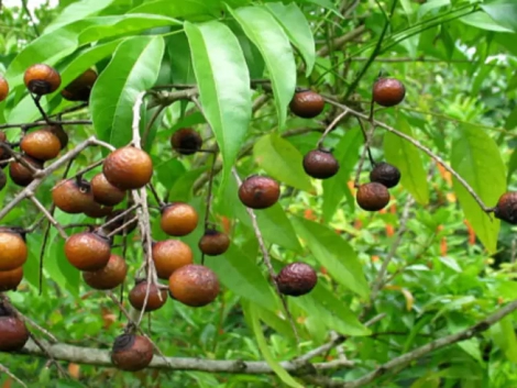 021c0f-89098595821f461c9912f3639f622c4amv2-6853a585650bb