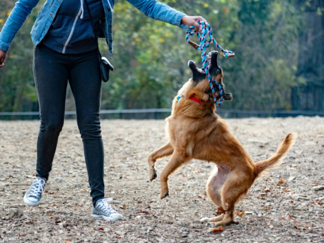 021c0f-d681a4593c4f4f70929128ce81969ff1mv2-6853bacb839b9